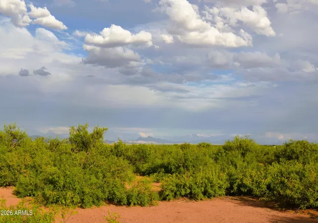 Homes for sale in Mc Neal, AZ | Tbd N Horvatin Ln #26, Mc Neal, AZ 85617 | MLS# 7013304