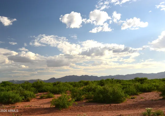 Homes for sale in Mc Neal, AZ | Tbd N Horvatin Ln #26, Mc Neal, AZ 85617 | MLS# 7013304