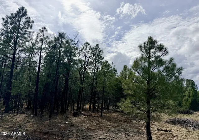 Photo 3 of Land for sale at 2588 Spoonbill Dr #7, Happy Jack, AZ 86024 | MLS# 7013512 | Listing updated on 2026-07-16