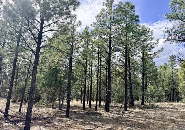 Photo 3 of Land for sale at 2588 Spoonbill Dr #7, Happy Jack, AZ 86024 | MLS# 7013512 | Listing updated on 2026-07-16