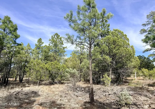 Photo 4 of Land for sale at 2588 Spoonbill Dr #7, Happy Jack, AZ 86024 | MLS# 7013512 | Listing updated on 2026-07-16
