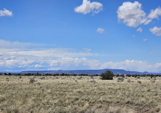 Homes for sale in Heber, AZ | Tbd Chev Cyn Ranch #3 Lot 461 -- #461, Heber, AZ 85928 | MLS# 7013610