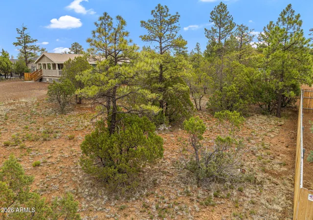 Homes for sale in Lakeside, AZ | 5459 Gray Wolf Dr #46, Lakeside, AZ 85929 | MLS# 7013694