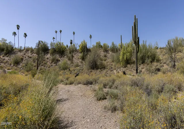 Photo 4 of Land for sale at 11008 N Appian Way #1A, Fountain Hills, AZ 85268 | MLS# 7013909 | Listing updated on 2026-04-14
