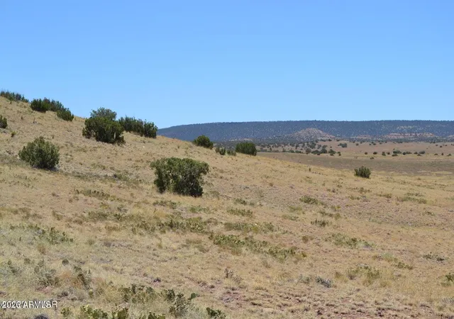 1st image of Lot 863 Acr N8497 #863, Concho, AZ 85924 | MLS# 7016224