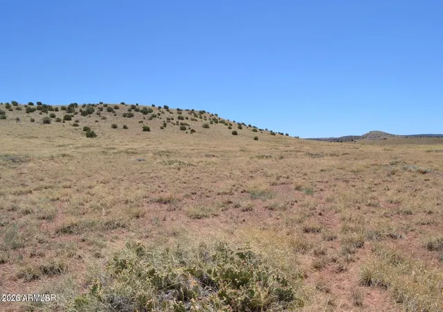 2nd image of Lot 863 Acr N8497 #863, Concho, AZ 85924 | MLS# 7016224