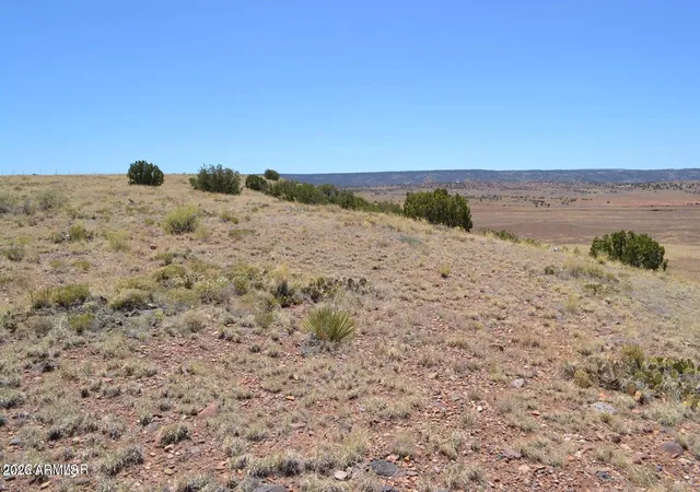 Photo 3 of Land for sale at Lot 863 Acr N8497 #863, Concho, AZ 85924 | MLS# 7016224 | Listing updated on 2026-04-19