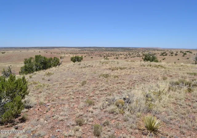 Photo 4 of Land for sale at Lot 863 Acr N8497 #863, Concho, AZ 85924 | MLS# 7016224 | Listing updated on 2026-04-19