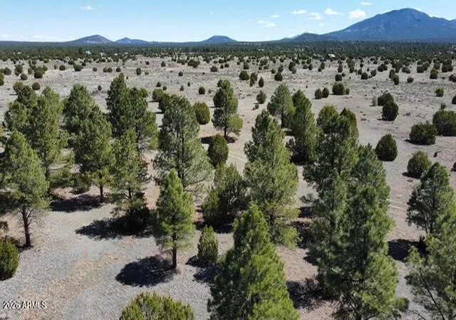 15th image of 5303 N Red Mountain Rd #3, Williams, AZ 86046 | MLS# 7014848