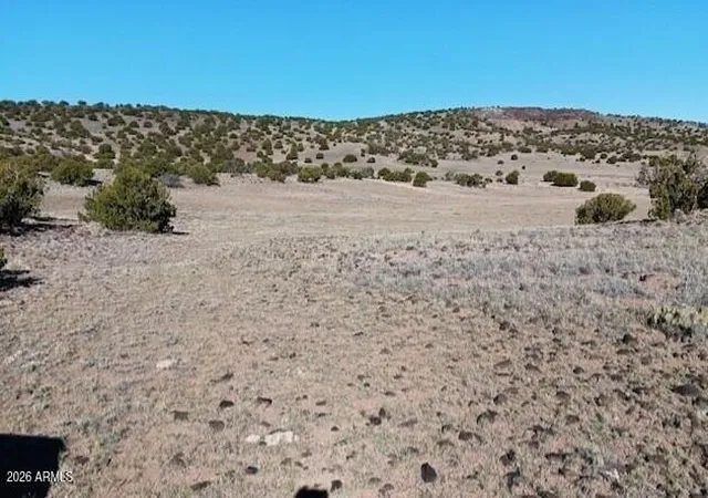 Homes for sale in Concho, AZ | 2121 County Rd N6166 --, Concho, AZ 85924 | MLS# 7016180
