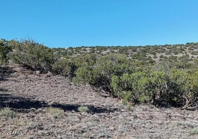 Homes for sale in Concho, AZ | 2121 County Rd N6166 --, Concho, AZ 85924 | MLS# 7016180
