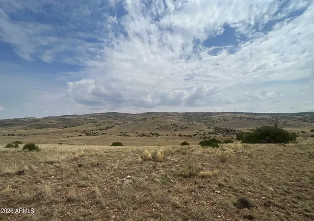 Homes for sale in Concho, AZ | 2121 County Rd N6166, Concho, AZ 85924 | MLS# 7016180