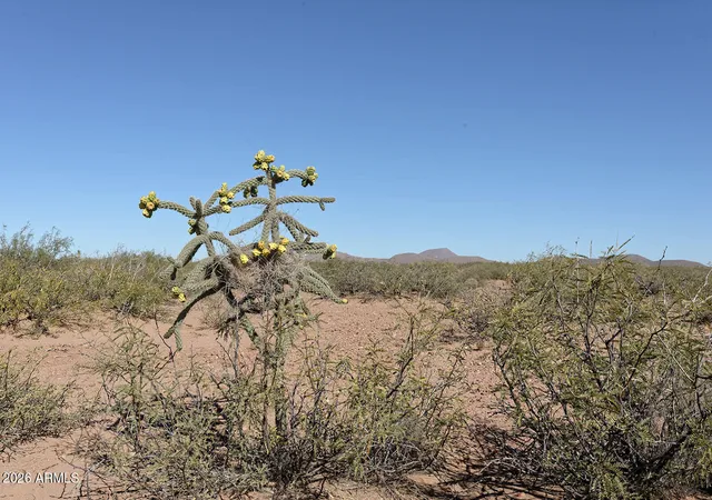Homes for sale in Elfrida, AZ | Tbd W Agua Blanca Rd, Elfrida, AZ 85610 | MLS# 7015919