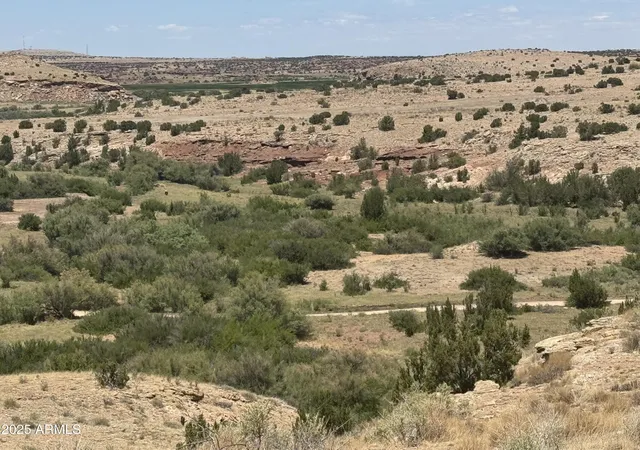 1st image of Lot 95 River Springs Ranch #095, St Johns, AZ 85936 | MLS# 7014877