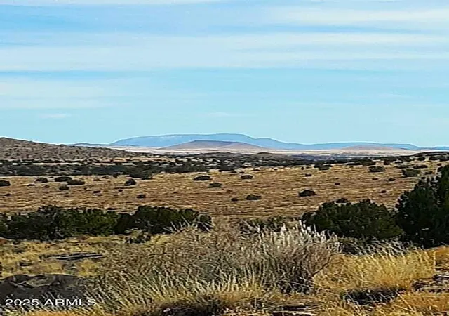 27th image of Lot 95 River Springs Ranch #095, St Johns, AZ 85936 | MLS# 7014877