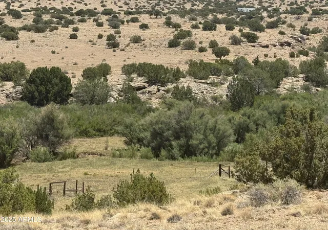 Photo 4 of Land for sale at Lot 95 River Springs Ranch #095, St Johns, AZ 85936 | MLS# 7014877 | Listing updated on 2026-08-17