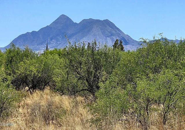 Homes for sale in Hereford, AZ | Tbd E Three Canyons Rd #A, Hereford, AZ 85615 | MLS# 7014985