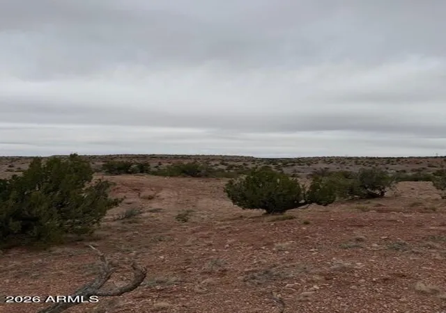 Photo 1 of Land for sale at N6124 North #202-44-022, St Johns, AZ 85936 | MLS# 7016754 | Listing updated on 2026-08-26