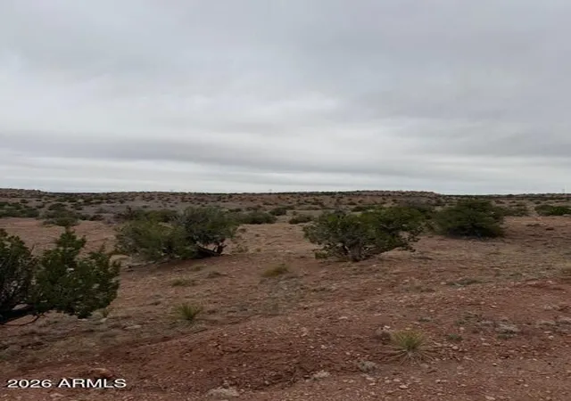 Photo 2 of Land for sale at N6124 North #202-44-022, St Johns, AZ 85936 | MLS# 7016754 | Listing updated on 2026-08-26