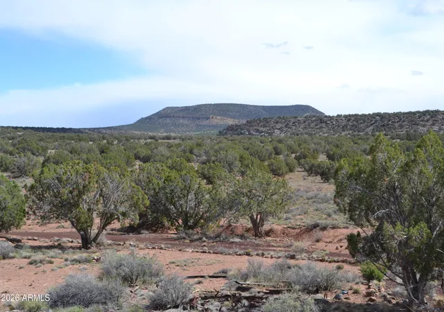 1st image of 32 N8544 #398, Concho, AZ 85924 | MLS# 7019981