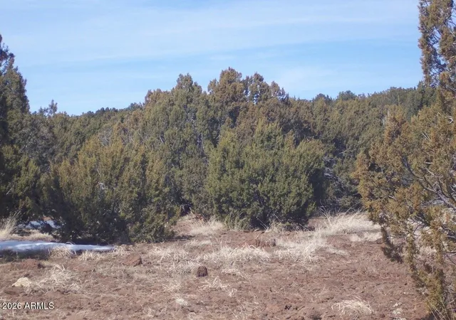Photo 4 of Land for sale at 43 County Rd 8296, Concho, AZ 85924 | MLS# 7017571 | Listing updated on 2026-09-30