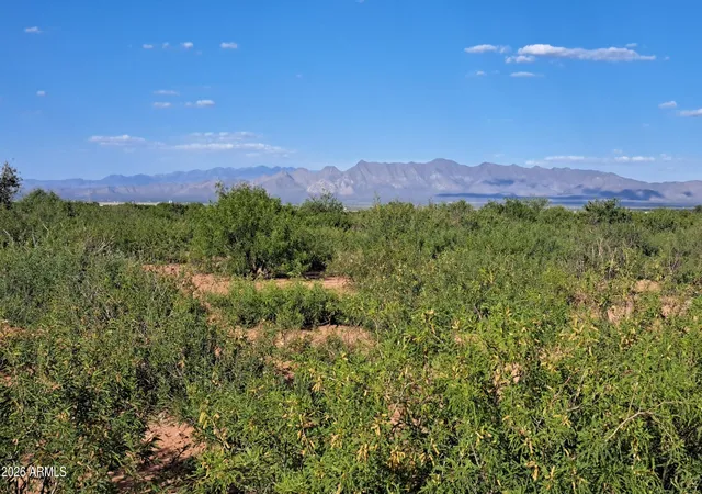 Homes for sale in Mc Neal, AZ | Tbd W Westward Trl #8, Mc Neal, AZ 85617 | MLS# 7017613