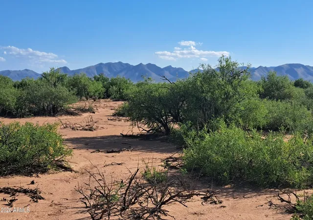 Homes for sale in Mc Neal, AZ | Tbd W Westward Trl #8, Mc Neal, AZ 85617 | MLS# 7017613