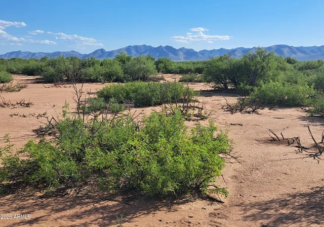Homes for sale in Mc Neal, AZ | Tbd W Westward Trl #8, Mc Neal, AZ 85617 | MLS# 7017613