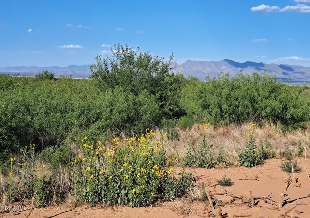 Homes for sale in Mc Neal, AZ | Tbd W Westward Trl #8, Mc Neal, AZ 85617 | MLS# 7017613