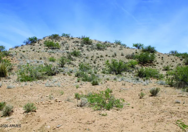 Homes for sale in Willcox, AZ | 11 Acres Bonita Klondyke Rd #3, Willcox, AZ 85643 | MLS# 7017850
