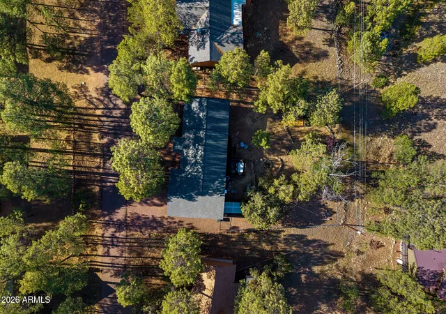 Homes for sale in Overgaard, AZ | 3307 Pine Cone Dr, Overgaard, AZ 85933 | MLS# 7040822