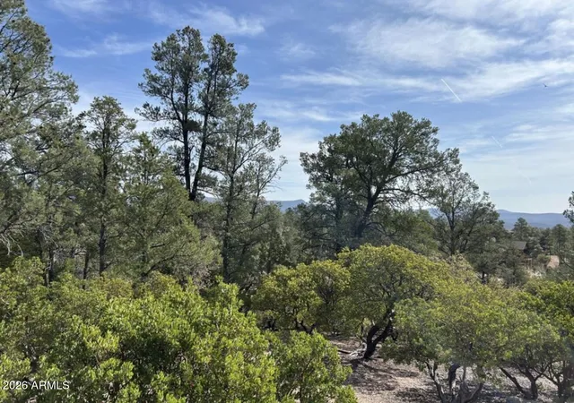 5th image of 1703 E Redbud Ct, Payson, AZ 85541 | MLS# 7019004