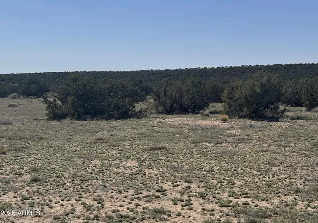 3rd image of Lot 531 Woodland Valley Ranch -- #531, St Johns, AZ 85936 | MLS# 7018423