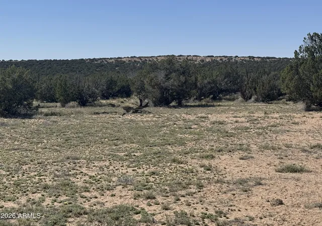4th image of Lot 531 Woodland Valley Ranch -- #531, St Johns, AZ 85936 | MLS# 7018423