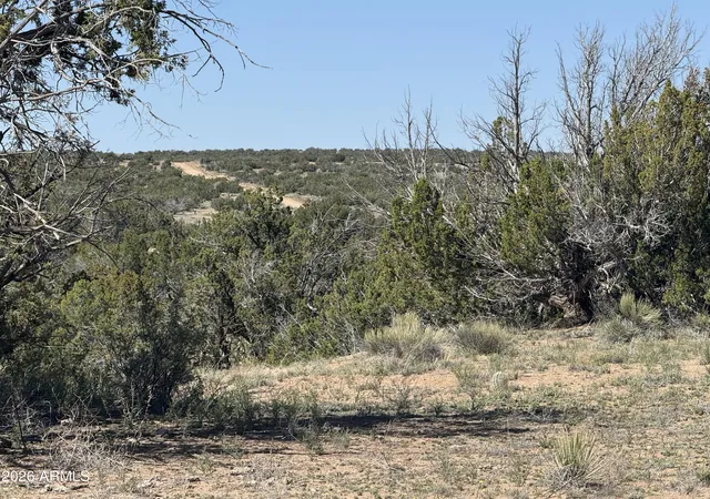 5th image of Lot 531 Woodland Valley Ranch -- #531, St Johns, AZ 85936 | MLS# 7018423