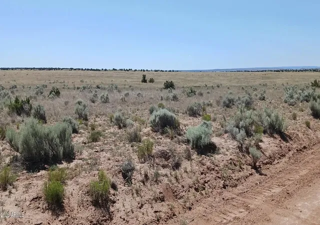 Photo 3 of Land for sale at 269 County Rd N7129, Saint Johns, AZ 85936 | MLS# 7018424 | Listing updated on 2026-09-30