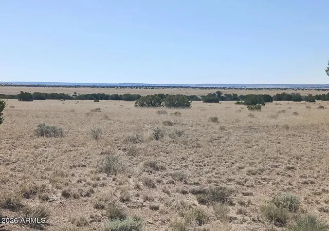 Photo 4 of Land for sale at 269 County Rd N7129, Saint Johns, AZ 85936 | MLS# 7018424 | Listing updated on 2026-09-30