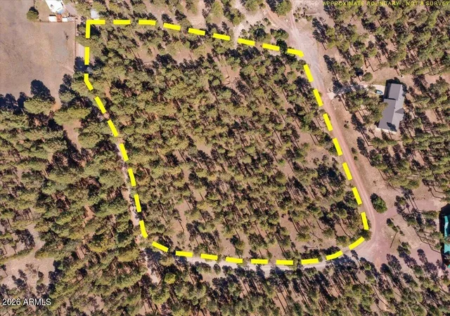 13th image of Tbd County Rd 2325, Alpine, AZ 85920 | MLS# 7018653