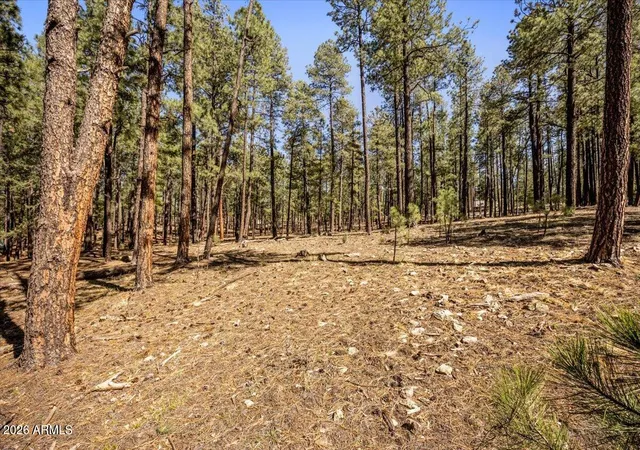 2nd image of Tbd County Rd 2325, Alpine, AZ 85920 | MLS# 7018653