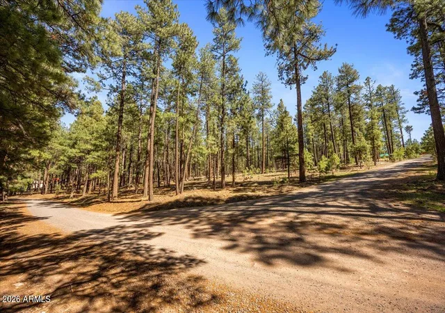 3rd image of Tbd County Rd 2325 --, Alpine, AZ 85920 | MLS# 7018653