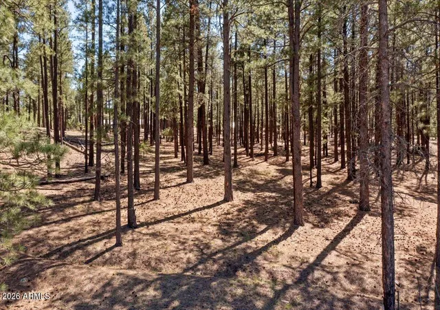 4th image of Tbd County Rd 2325 --, Alpine, AZ 85920 | MLS# 7018653