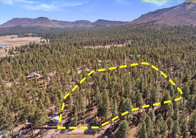 5th image of Tbd County Rd 2325 --, Alpine, AZ 85920 | MLS# 7018653