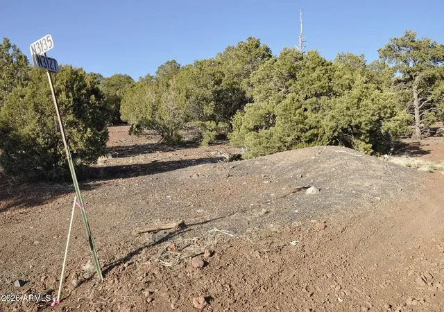 5th image of 41 County Rd N3127 --, Vernon, AZ 85940 | MLS# 7019025