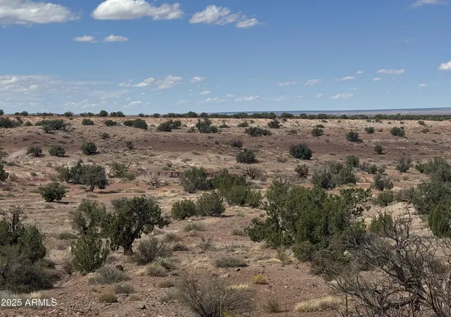 2nd image of #59 River Springs Ranch #59, St Johns, AZ 85936 | MLS# 7019065