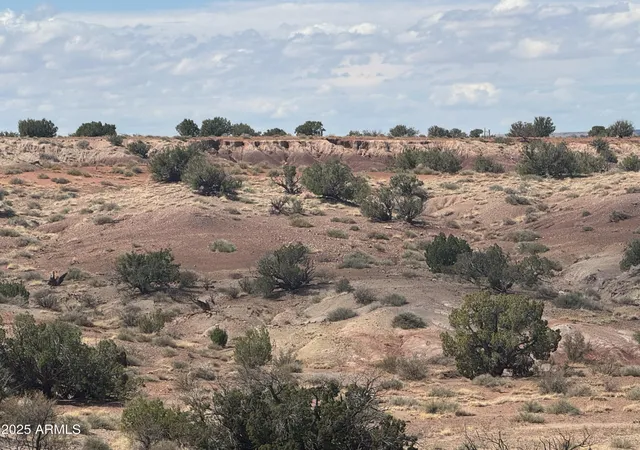 3rd image of #59 River Springs Ranch -- #59, St Johns, AZ 85936 | MLS# 7019065