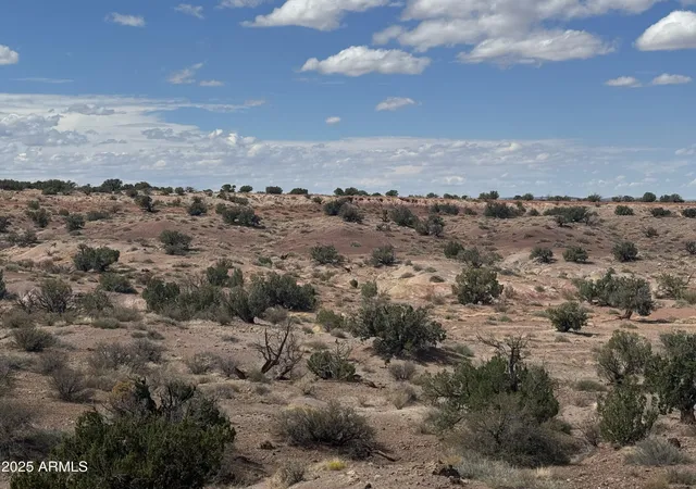 4th image of #59 River Springs Ranch -- #59, St Johns, AZ 85936 | MLS# 7019065