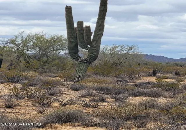 Homes for sale in Wickenburg, AZ | 0 W Smokehouse Trl #89 & 90, Wickenburg, AZ 85390 | MLS# 7021910