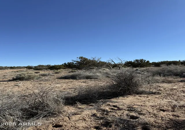 Photo 3 of Land for sale at Tbd 1 N6549 #794, Saint Johns, AZ 85936 | MLS# 7019447 | Listing updated on 2026-04-25