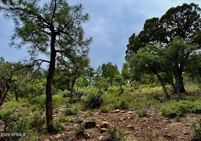 Homes for sale in Pine, AZ | 161 N Portal Dr #161, Pine, AZ 85544 | MLS# 7032737