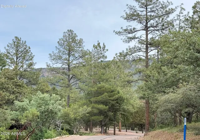 Homes for sale in Pine, AZ | 161 N Portal Dr #161, Pine, AZ 85544 | MLS# 7032737